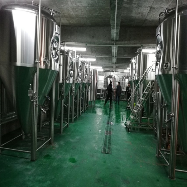 河南新乡鲸酿1000L啤酒厂项目